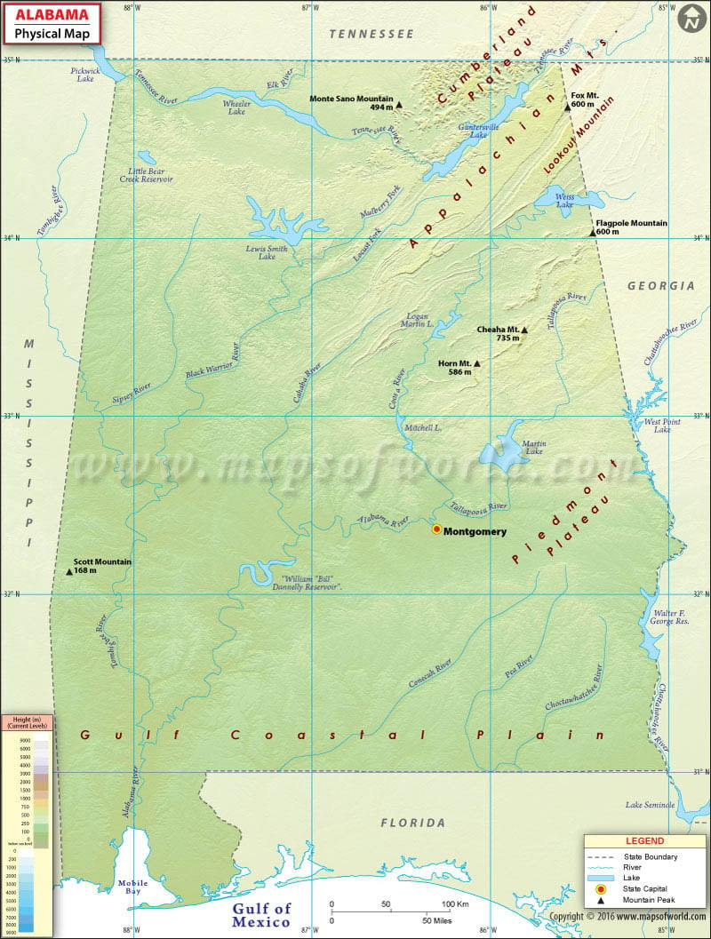 https://images.mapsofworld.com/usa/states/alabama/alabama-physical-map.jpg