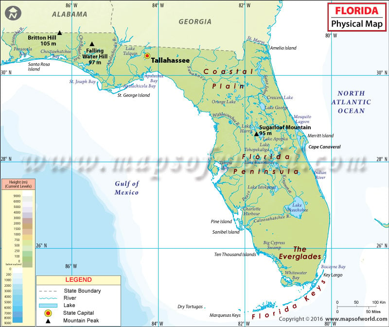 https://images.mapsofworld.com/usa/states/florida/physical-map-of-florida.jpg
