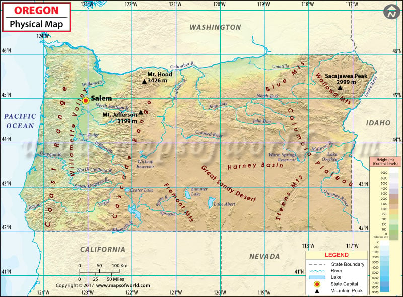Physical Map of Oregon