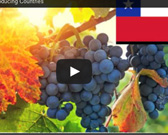 Grape producing countries