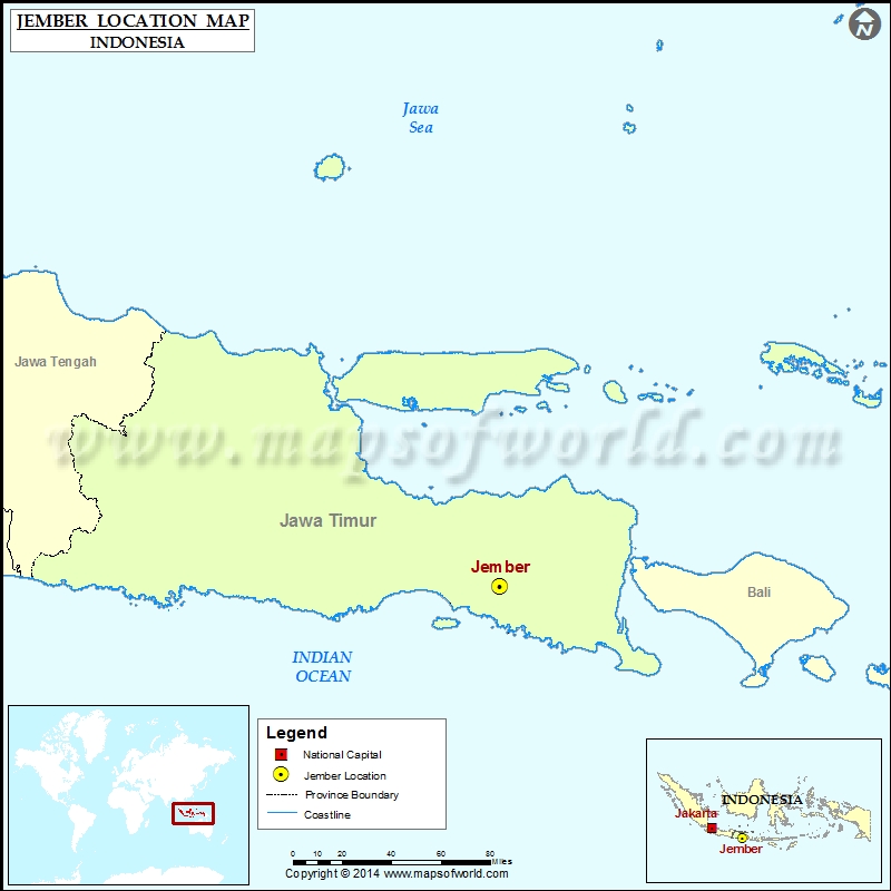 Where is Jember Location of Jember in Indonesia Map 