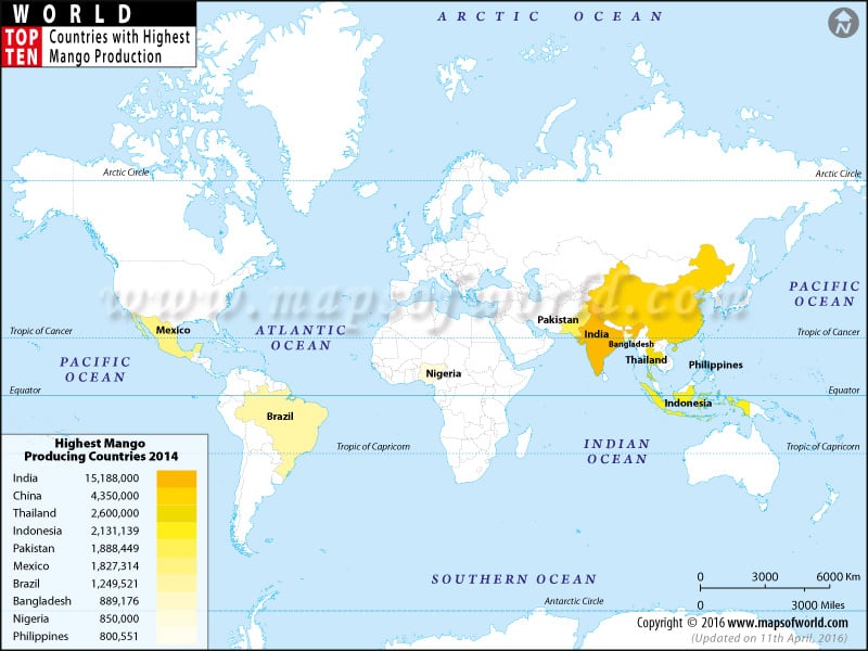 Top Mango Producing Countries of the World