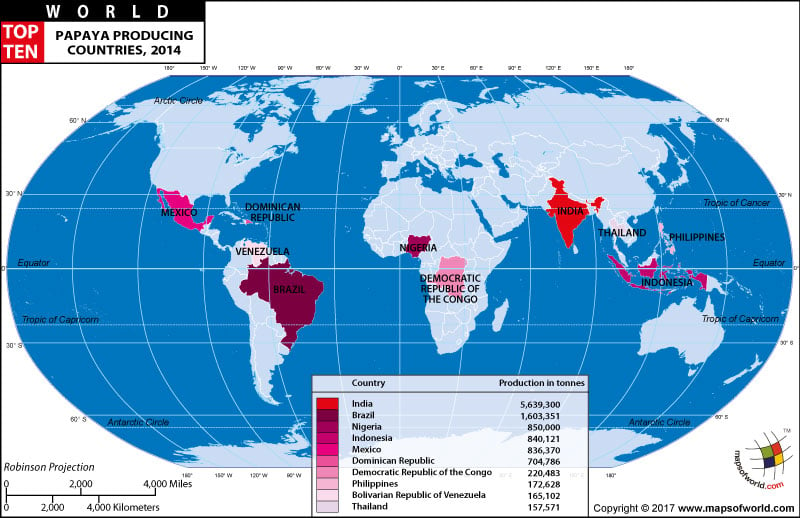 World Map Of Top Ten Papaya Producing Countries